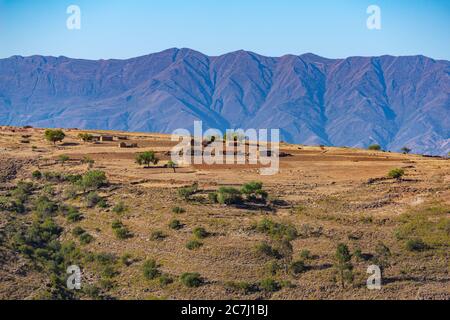 Hochlandwirtschaft im Parque Nacional Tototoro, Nationalpark Torotoro, Anden, Departemento Potosí, Bolivien, Lateinamerika Stockfoto