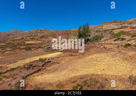 Hochlandwirtschaft im Parque Nacional Tototoro, Nationalpark Torotoro, Anden, Departemento Potosí, Bolivien, Lateinamerika Stockfoto