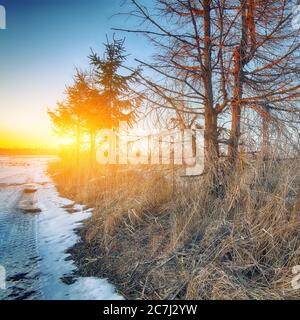 Spuren der Autoräder auf einer verschneiten Straße. Sonnenuntergang Stockfoto