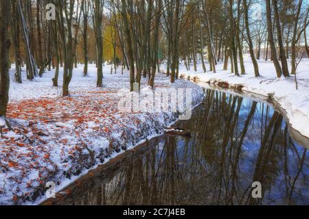 Landschaftlich schöner Blick auf den Fluss und die Bäume mit dem ersten Schnee. Gefallene Blätter auf dem Schnee Stockfoto