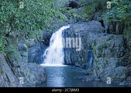 Der Wasserfall und das Hauptschwimmloch-Viertel an Crystal Cascades in einem Vorort von Cairns sind ein beliebter Abkühlort. Stockfoto