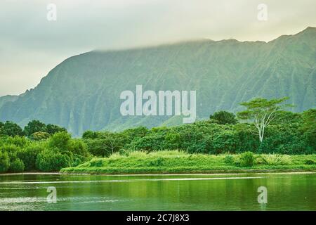 Strom im Kahaluu Regional Park, USA, Hawaii, Oahu Stockfoto
