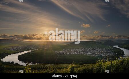 Sonnenuntergang an der Mosel bei Trittenheim in Deutschland Stockfoto