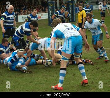 BATH, ENGLAND, VEREINIGTES KÖNIGREICH - Jan 25, 2015: Bath Rugby spielen Glasgow Warriors, European Champions Cup, Recreation Ground, Bath. 25 Januar 2015. Bad Stockfoto