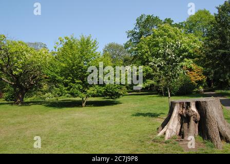 BATH, ENGLAND, VEREINIGTES KÖNIGREICH - Jul 10, 2019: The Botanical Gardens, Royal Victoria Park, Bath, England. 10. Juli 2019. Die Gärten wurden 1887 gegründet Stockfoto