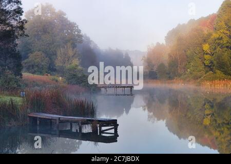 Schöne Aufnahme eines Sees von Bäumen mit einem umgeben Nebel bildet sich darüber Stockfoto