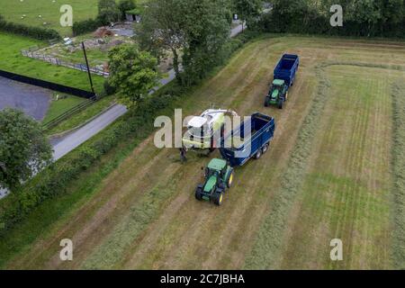 Luftdrohnenaufnahme der Silageernte mit dem selbstfahrenden Mähdrescher der Klasse Jaguar 970 im ländlichen County Kildare, Irland Stockfoto