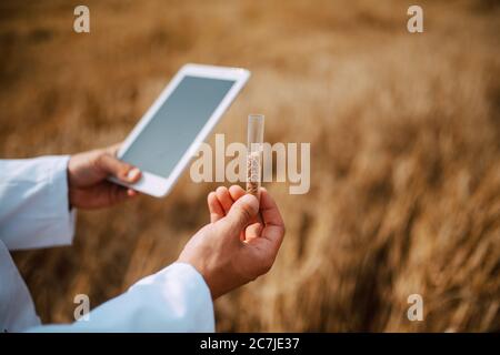 Nahaufnahme von Tablet-Computer in der Hand männlichen kaukasischen Technologen Agronom im Bereich der Weizenprüfung Qualität und Wachstum von Kulturen für die Landwirtschaft. Stockfoto