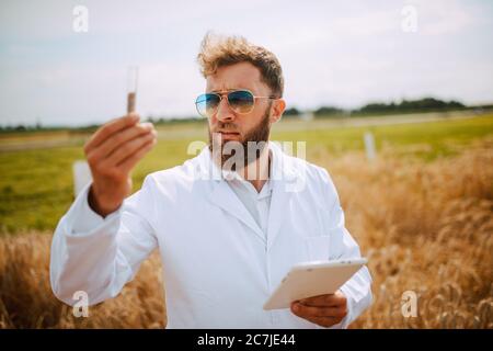 Männliche kaukasischen Technologen Agronom mit Tablet-Computer im Bereich der Weizen Kontrolle Qualität und Wachstum von Kulturen für die Landwirtschaft. Stockfoto