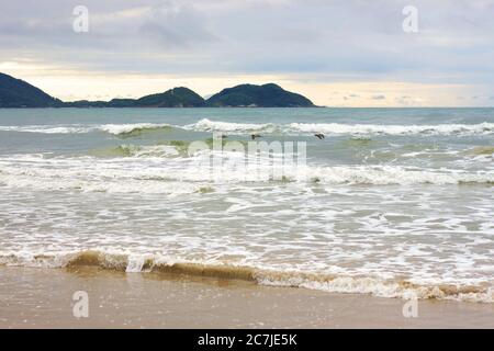 Schwarm von Möwen fliegen über das Meer in Pontal do Parana, Brasilien Stockfoto