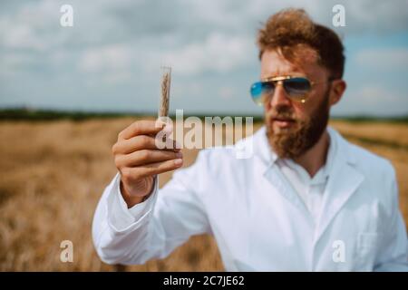 Männliche kaukasischen Technologen Agronom mit Tablet-Computer im Bereich der Weizen Kontrolle Qualität und Wachstum von Kulturen für die Landwirtschaft. Stockfoto