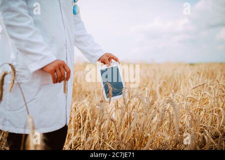 Nahaufnahme von Tablet-Computer in der Hand männlichen kaukasischen Technologen Agronom im Bereich der Weizenprüfung Qualität und Wachstum von Kulturen für die Landwirtschaft. Stockfoto