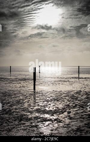 Wattenmeer, Abend, Dämmerung, blaue Stunde, Norddeich, Norden, Nordsee, Ostfriesland, Niedersachsen, Deutschland, Stockfoto