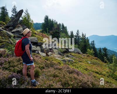 Wanderer, Little Osser, Bayerischer Wald, Bayern, Deutschland Stockfoto