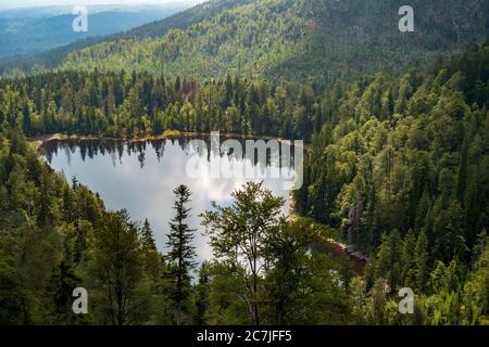 Rachelsee, Großer Rachel, Nationalpark, Bayerischer Wald, Bayern, Deutschland Stockfoto