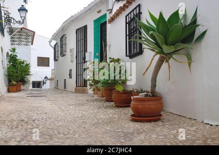 Allee mit Blumentöpfen entlang der weiß getünchten Häuser in der Altstadt von Altea, Costa Blanca, Spanien Stockfoto