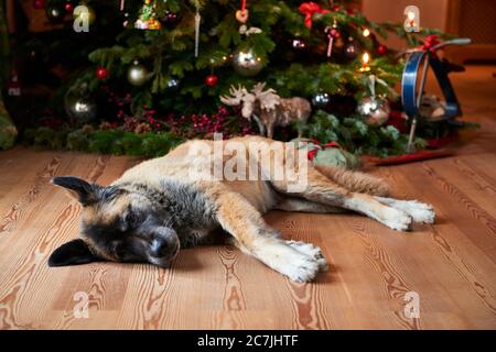 Bayerische Weihnachten, Heimstatt, Heiligabend, Dekoration Stockfoto