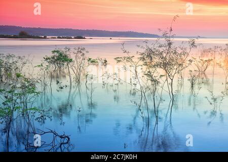 Fantastischer Sonnenuntergang, mit Sonnenuntergang über dem Horizont im Amazonasbecken, Manaus, Brasilien Stockfoto