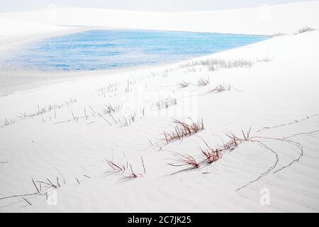 Teiche mit Regenwasser in weißen Dünen, Lencois Maranhenses Nationalpark, Brasilien, Atlantischer Ozean gefangen Stockfoto