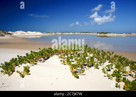 Mosambik, Bazaruto Archipel, kristallklares Wasser und flache Sandbanden vor Benguerra Island, Stockfoto