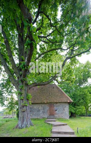 Kloster Riddagshausen, Siechenkapelle, Architektur, Hausfassade, Braunschweig, Niedersachsen, Deutschland, Europa Stockfoto