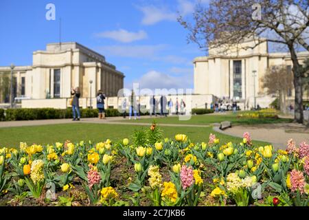 Ein wunderschöner Frühlingsmorgen am Trocadero, Paris FR Stockfoto