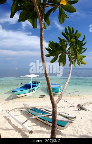 Outrigger Traditionelles Fischerboot, das am Strand an der Ostküste der Malapascua Insel, Cebu, Central Visayas, Philippinen, festgemacht ist Stockfoto