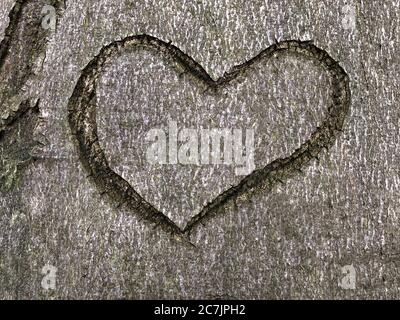 High-Angle-Aufnahme eines Herzsymbols auf einem geschnitzten Baum Stockfoto