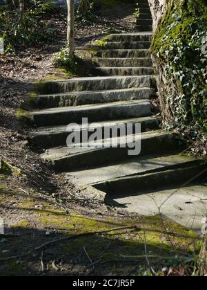 Senkrechter niedriger Winkel Aufnahme einer Treppe im Park Stockfoto