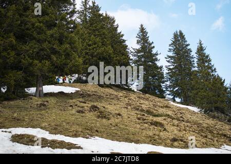 Gruppe von Menschen auf einem felsigen Hügel mit viel Von Tannenbäumen unter einem wolkigen Himmel Stockfoto