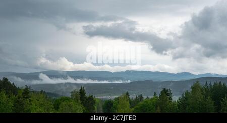 Schöne Landschaft mit vielen Tannen und Bergen Im Hintergrund unter einem wolkigen Himmel Stockfoto