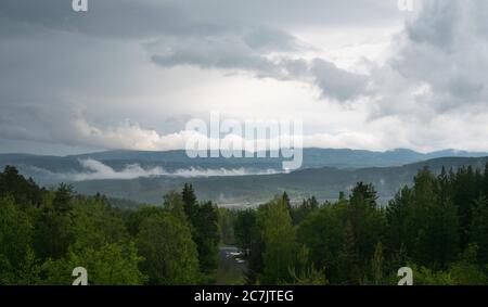 Schöne Landschaft mit vielen Tannen und Bergen Im Hintergrund unter einem wolkigen Himmel Stockfoto