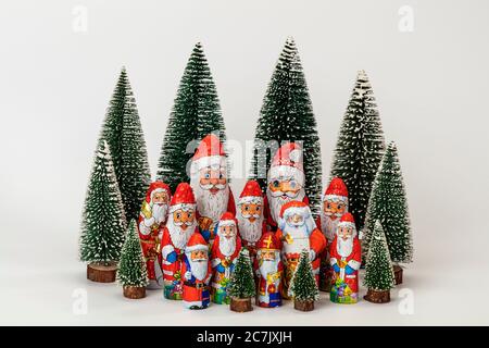 Verschiedene Schokolade nikolaus stehen inmitten von Miniatur-Weihnachtsbäumen, weißer Hintergrund, Ikonenbild, Weihnachtszeit, Stockfoto