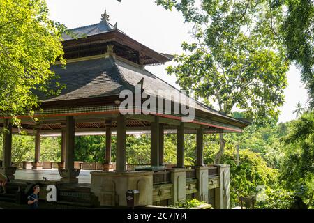 Blick auf den heiligen Affenwald in Ubud Stockfoto