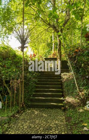 Blick auf den heiligen Affenwald in Ubud Stockfoto