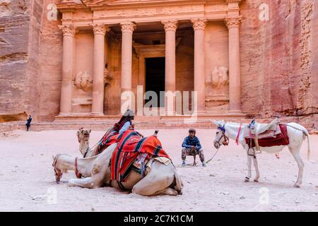 Petra, Jordanien - 5 Jul 2016: Kamel- und Eselführer warten auf Touristen, die einen Ausritt vor der Schatzkammer-Fassade, dem ikonischen Stein, ausleihen Stockfoto