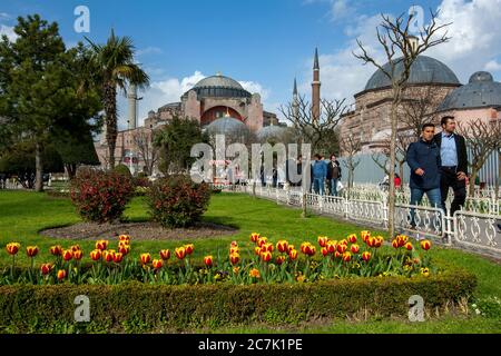 Blick vom Sultanahmet Park auf Aya Sofya (Haghia Sofia) in Istanbul in der Türkei. Im Vordergrund ist ein Tulpenbett. Stockfoto