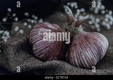 Ein Paar geknüpfte Knoblauchköpfe auf einem Lappen Stockfoto