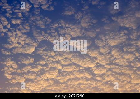 Graue und weiße Wolken sehen aus wie Schafwolle oder Wellen. Stockfoto