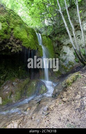 Vertikale Aufnahme eines Wasserfalls mitten im Wald in der Eifelregion, Deutschland Stockfoto