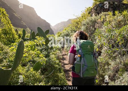 Wanderin im Barranco de Ruiz bei San Juan de la Rambla, Teneriffa, Kanarische Inseln, Spanien Stockfoto