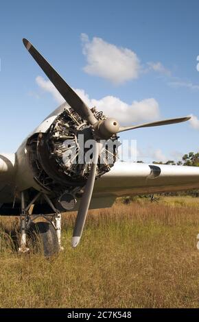 Die vertikale Aufnahme des Propellers eines Flugzeugs landete auf Das trockene Gras Stockfoto