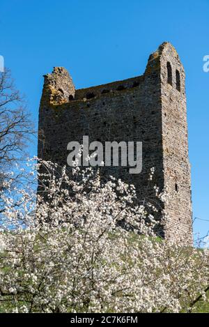 Deutschland, Sachsen-Anhalt, Hundisburg, Ruine Nordhusen Stockfoto