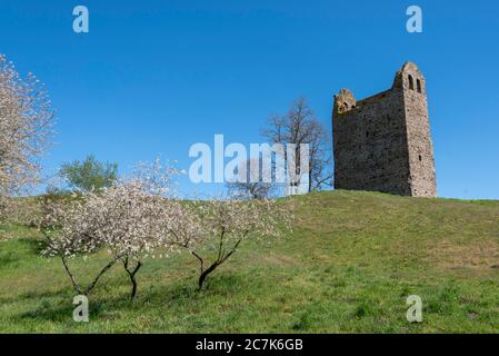 Deutschland, Sachsen-Anhalt, Hundisburg, Ruine Nordhusen Stockfoto