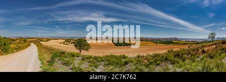 Straße in der Bardenas Reales Navarra Wüste, Spanien Stockfoto