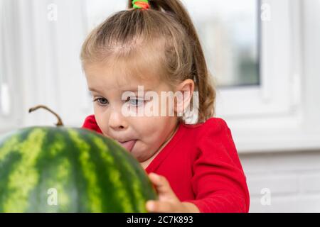 Kleines Mädchen berührt eine große Wassermelone und leckt ihre Lippen in Erwartung Stockfoto