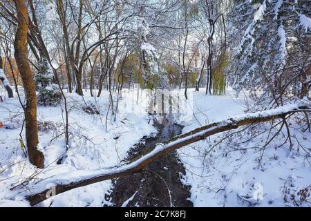 Landschaftlich schöner Blick auf den Fluss und die von Schnee bedeckten Bäume. Gefallener Baum im Vordergrund Stockfoto