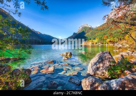Fantastischer Herbstaufgang am Hintersee. Schöne Baumlandschaft in der Nähe des türkisfarbenen Wassers des Hintersees. Lage: Resort Ramsau, Nationalpark Be Stockfoto