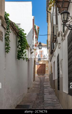 Weiß getünchte Gebäude säumen die enge Calle Samuel de los Santos y Genera in Richtung des Eingangs zu Córdoba Casa Arab Stockfoto