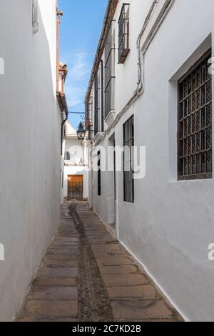 Weiß getünchte Villen säumen eine sehr schmale Gasse in Cordoba Stockfoto